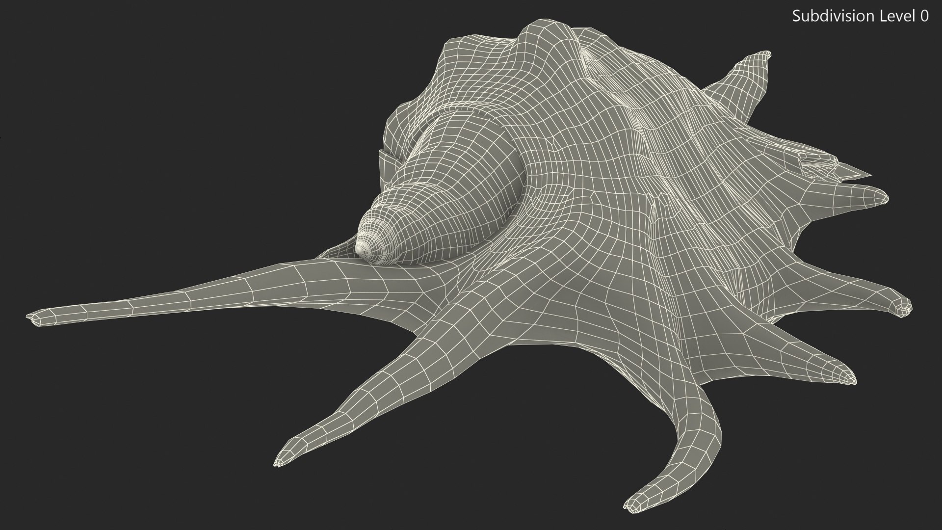 Sea Shell Spider Conch Lambis model https://p.turbosquid.com/ts-thumb/C4/0ymFgt/9G/seashellspiderconchlambis3dsmodel018/jpg/1666181376/1920x1080/fit_q87/76605e2b95a008050aa20aadeb91a311ecb31541/seashellspiderconchlambis3dsmodel018.jpg