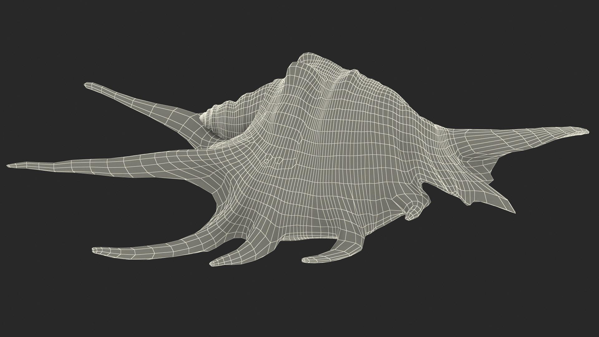 Sea Shell Spider Conch Lambis model https://p.turbosquid.com/ts-thumb/C4/0ymFgt/EU/seashellspiderconchlambis3dsmodel023/jpg/1666181397/1920x1080/fit_q87/40b3c060bcb6d04d709aff4e4f6e77660ef811d6/seashellspiderconchlambis3dsmodel023.jpg