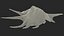 Sea Shell Spider Conch Lambis