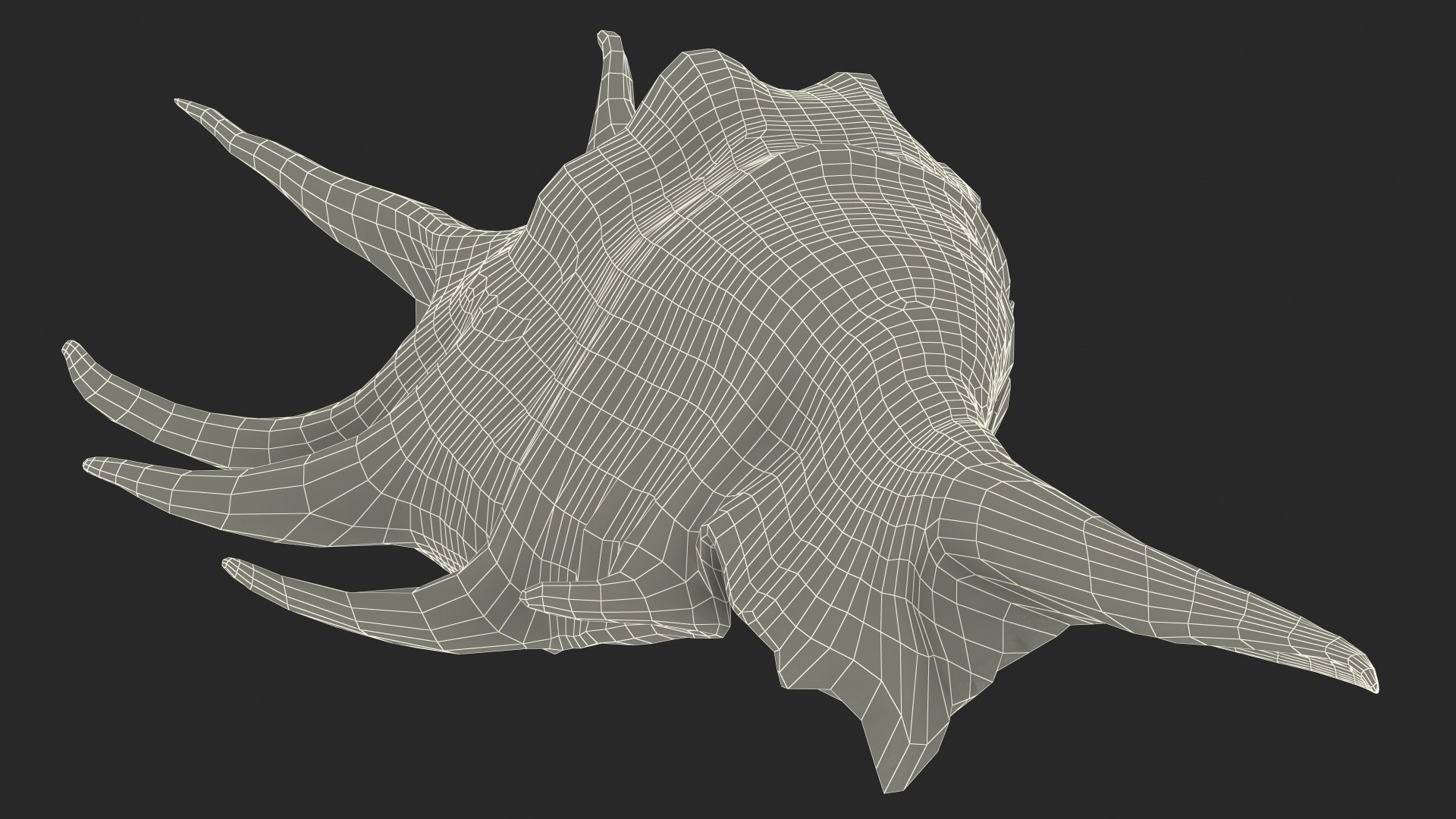 Sea Shell Spider Conch Lambis model https://p.turbosquid.com/ts-thumb/C4/0ymFgt/FG/seashellspiderconchlambis3dsmodel024/jpg/1666181402/1920x1080/fit_q87/26b1650db0593200a6f07a6a32e6c0dc1e326686/seashellspiderconchlambis3dsmodel024.jpg