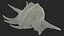 Sea Shell Spider Conch Lambis