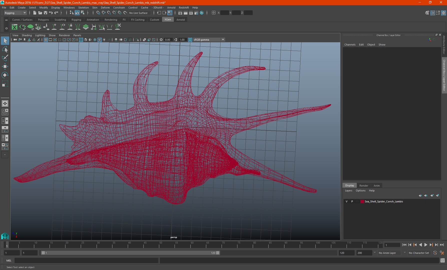 Sea Shell Spider Conch Lambis model https://p.turbosquid.com/ts-thumb/C4/0ymFgt/ZP/seashellspiderconchlambis3dsmodel036/jpg/1666181419/1920x1080/fit_q87/7a72a8b0b3f380bda623522e8cd9ad2a655a5702/seashellspiderconchlambis3dsmodel036.jpg