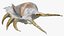Sea Shell Spider Conch Lambis
