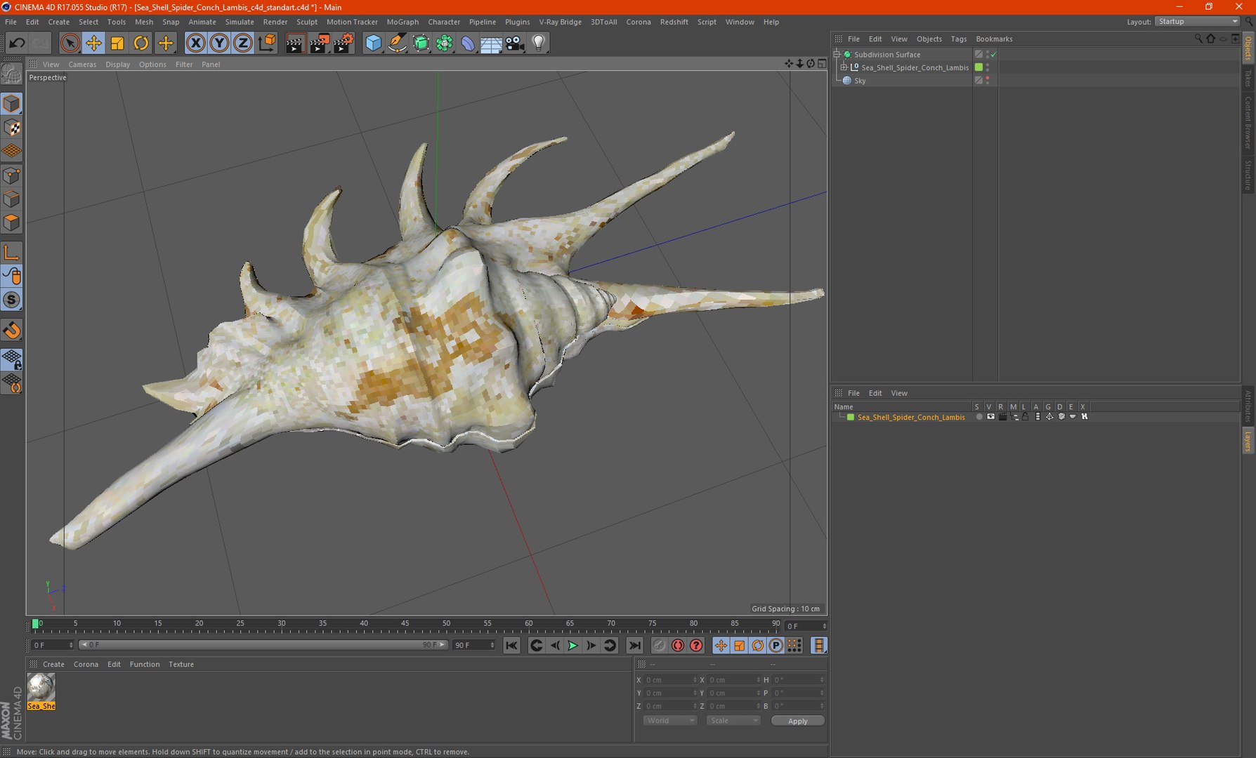 Sea Shell Spider Conch Lambis model https://p.turbosquid.com/ts-thumb/C4/0ymFgt/uZ/seashellspiderconchlambis3dsmodel035/jpg/1666181415/1920x1080/fit_q87/d2da4b6ca295450cc9e2d2dfb727c5971ece1e90/seashellspiderconchlambis3dsmodel035.jpg
