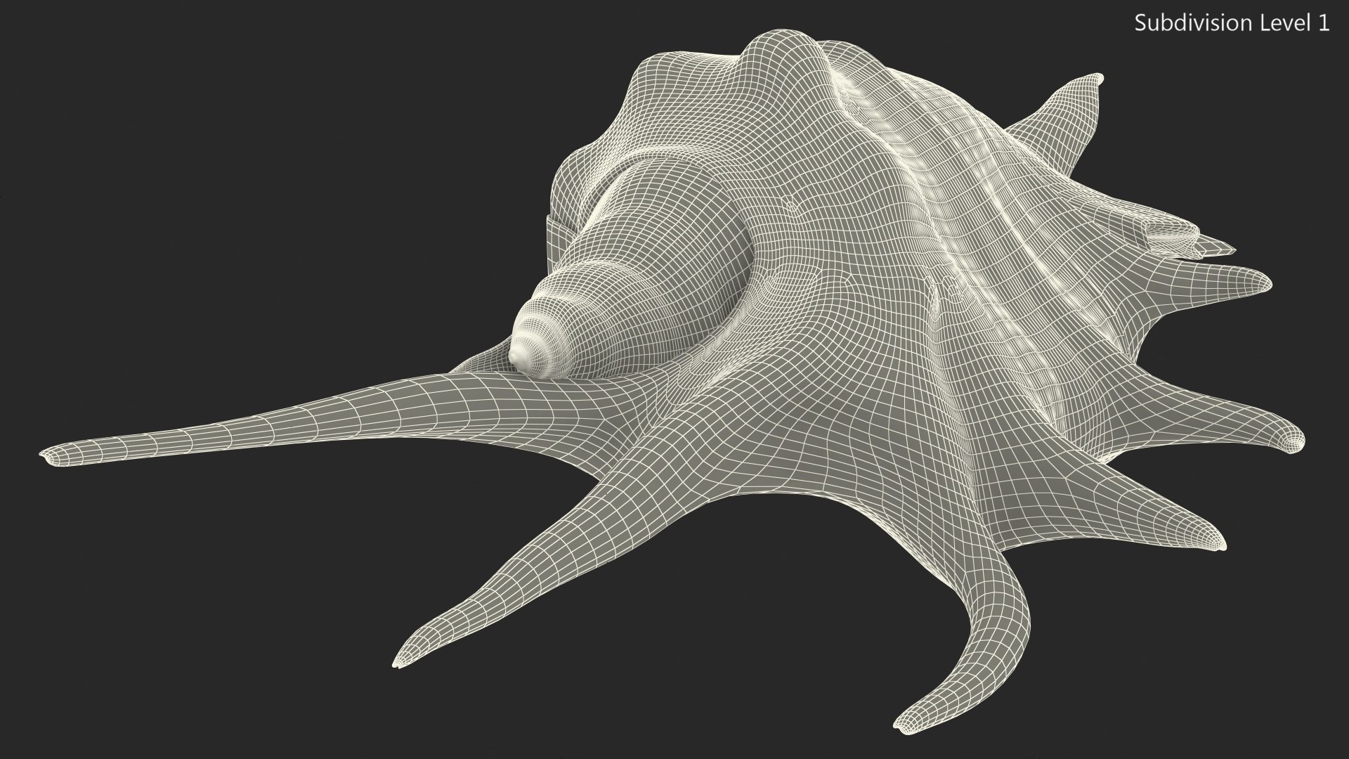 Sea Shell Spider Conch Lambis model https://p.turbosquid.com/ts-thumb/C4/0ymFgt/vs/seashellspiderconchlambis3dsmodel019/jpg/1666181380/1920x1080/fit_q87/53229cac5b10b2332ed9fd1c85664d0f07824046/seashellspiderconchlambis3dsmodel019.jpg