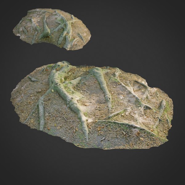 nature_forest_roots_011_render_001.jpg
