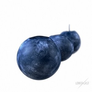 3d model blueberries blue
