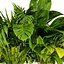 Modèles 3D de feuillages tropicaux variés