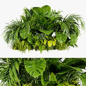 3D Diverse Tropical Foliage 3D Models