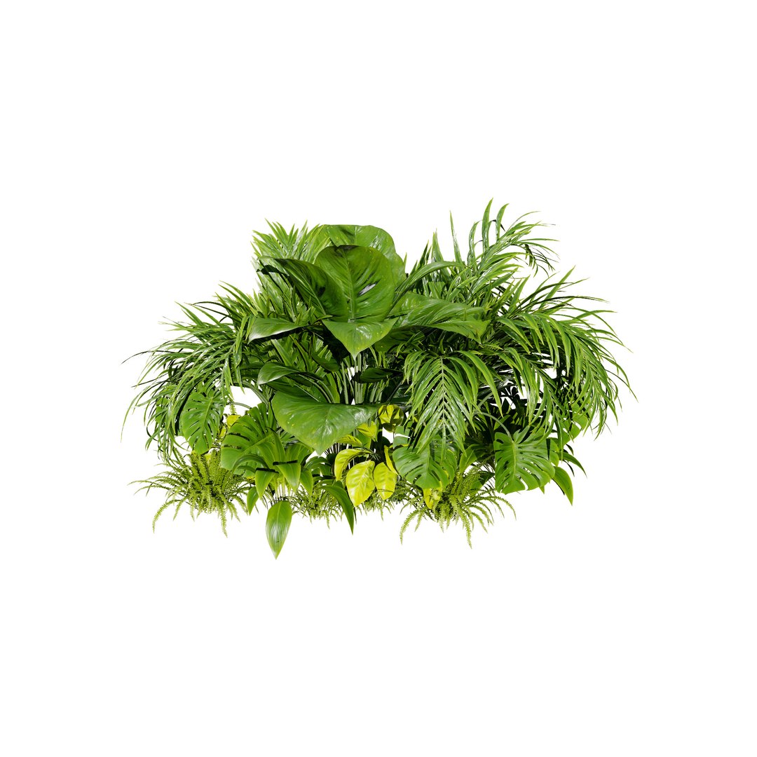 3D Diverse Tropical Foliage 3D Models https://p.turbosquid.com/ts-thumb/C4/5Nzcu6/Ip/tropicalplants/jpg/1728325911/1920x1080/fit_q87/800c4f18ad642d3dca4750d4eddcc84fb8ed11cc/tropicalplants.jpg