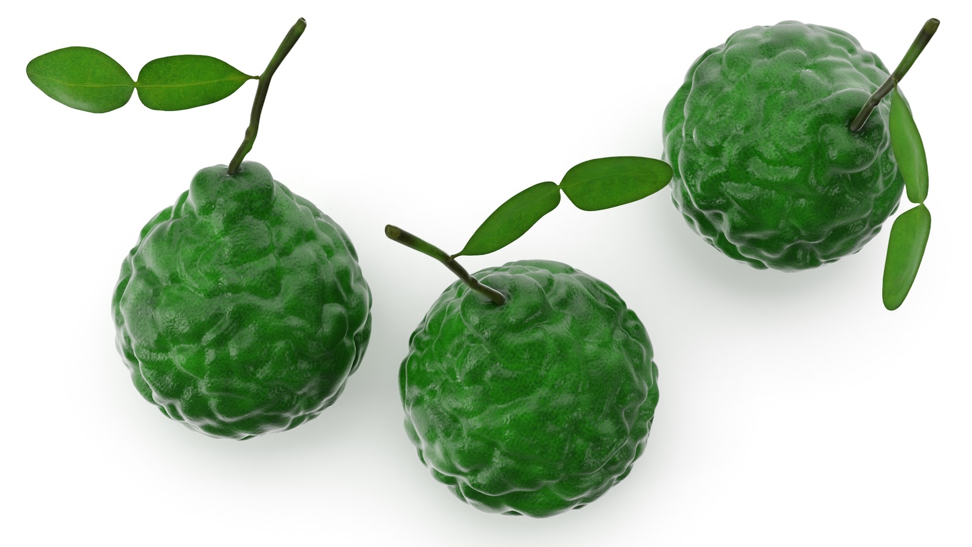 Bergamot Fruit with Leaf model https://p.turbosquid.com/ts-thumb/C4/AYlfzg/1d/bergamot_fruit_with_leaf_007.jpg/jpg/1727786558/1920x1080/fit_q87/d3dddcd41ebdff9a2b8dc6c630301a2483f5316a/bergamot_fruit_with_leaf_007.jpg.jpg