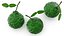 Bergamot Fruit with Leaf