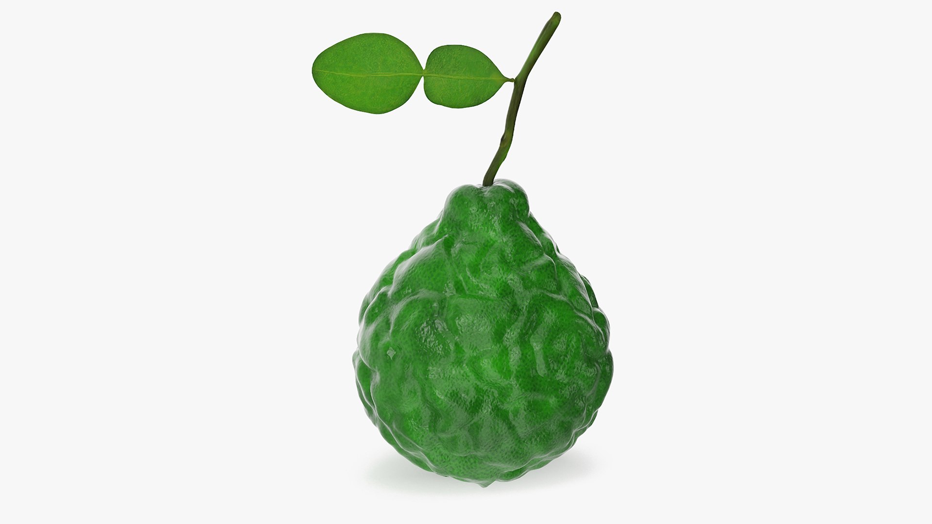 Bergamot Fruit with Leaf 3D model preview
