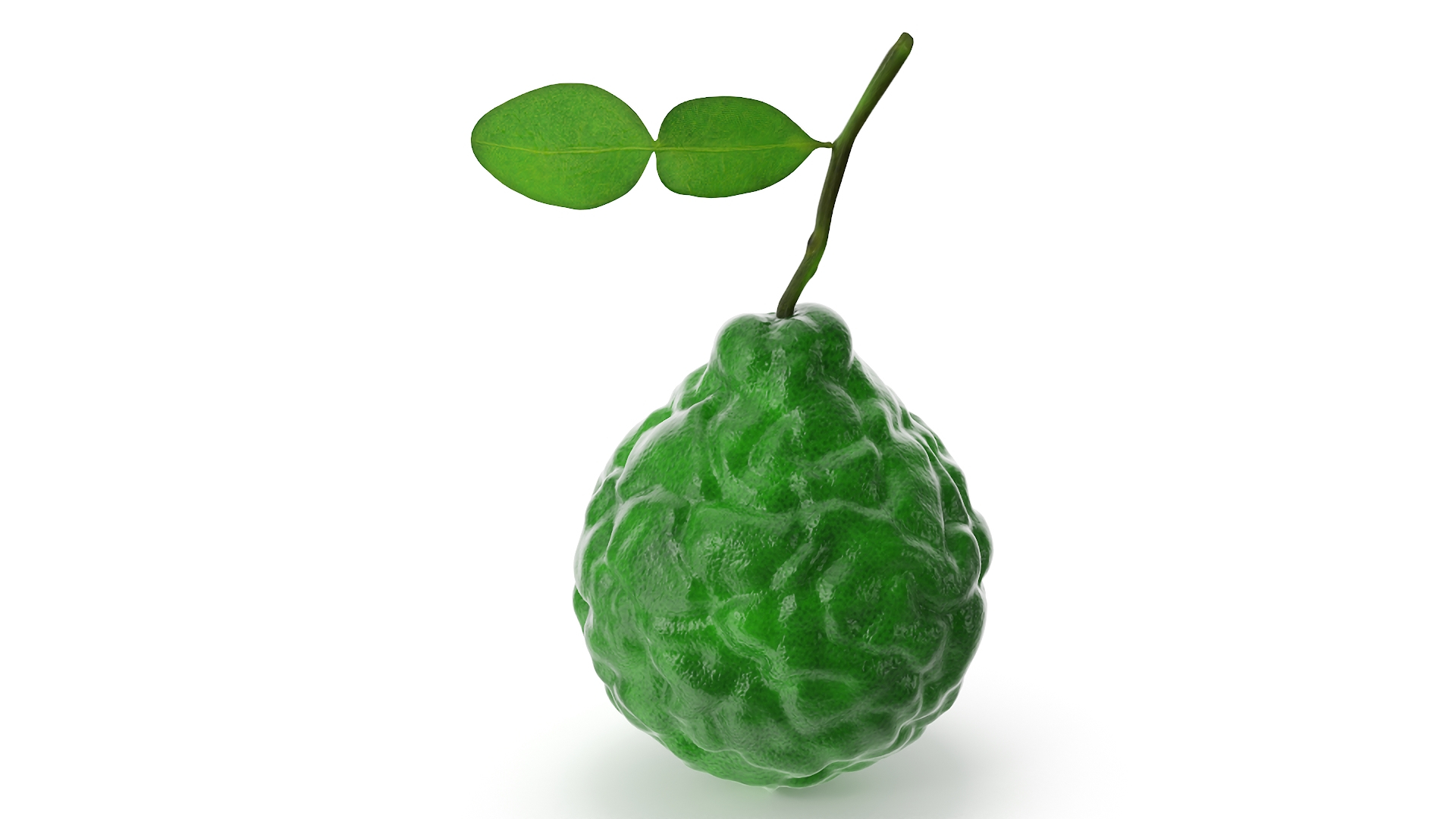 Bergamot Fruit with Leaf model https://p.turbosquid.com/ts-thumb/C4/AYlfzg/DT/bergamot_fruit_with_leaf_360/jpg/1727753971/1920x1080/turn_fit_q99/c74fc3c05483165a712d22600ebfdb0c41e070fb/bergamot_fruit_with_leaf_360-1.jpg