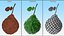 Bergamot Fruit with Leaf