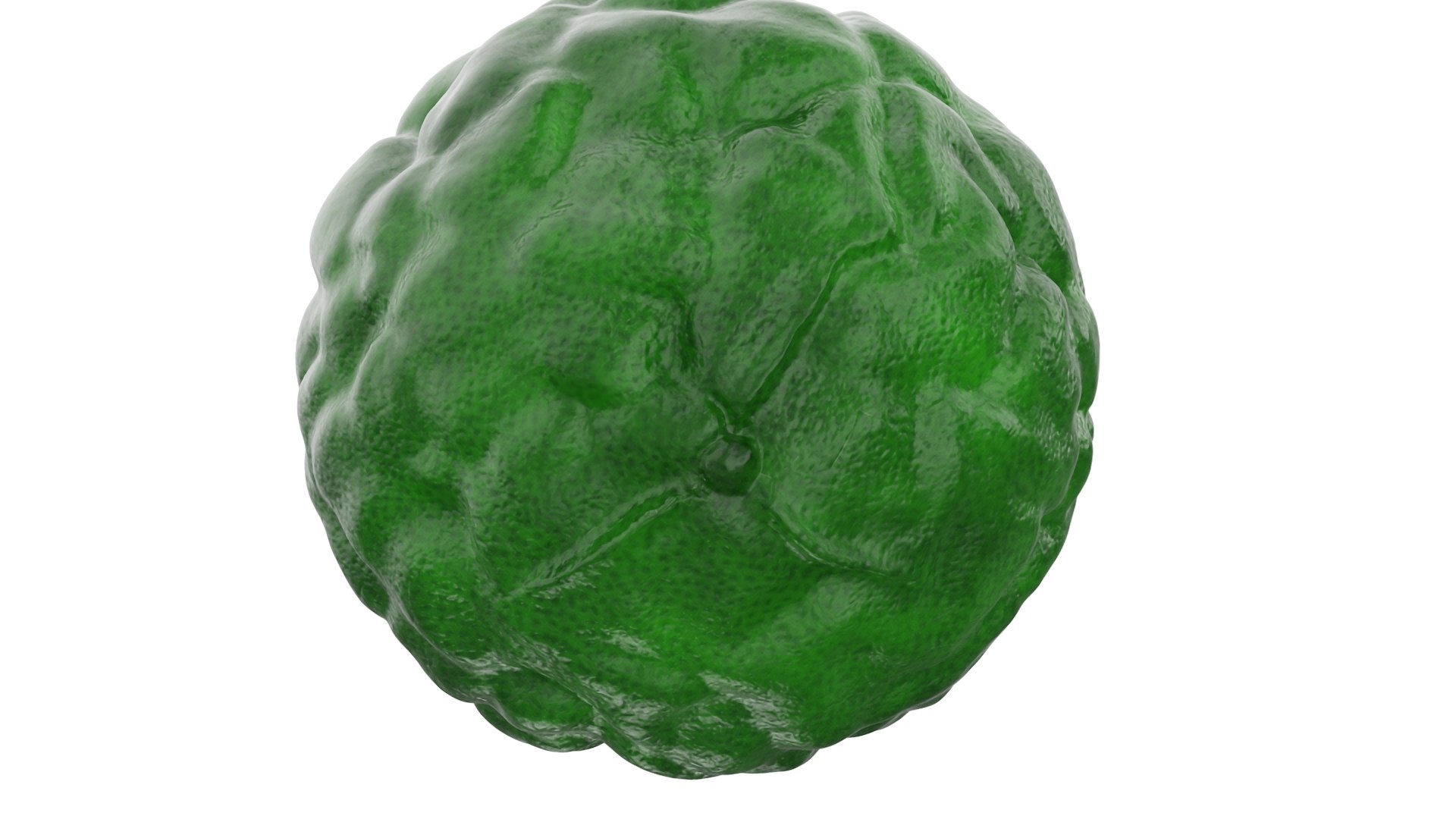 Bergamot Fruit with Leaf model https://p.turbosquid.com/ts-thumb/C4/AYlfzg/mp/bergamot_fruit_with_leaf_009.jpg/jpg/1727786559/1920x1080/fit_q87/03427e4c4a03e7dac08ec28cb05922e6e9c85f3c/bergamot_fruit_with_leaf_009.jpg.jpg