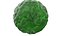 Bergamot Fruit with Leaf