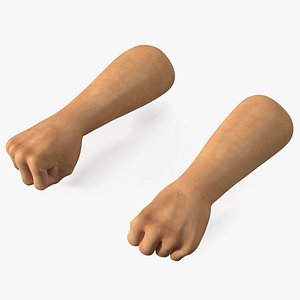 Realistic Human Male Arms with Fists 3D model