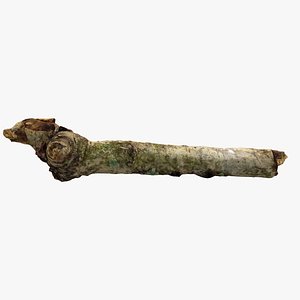 realistic stick 3d model