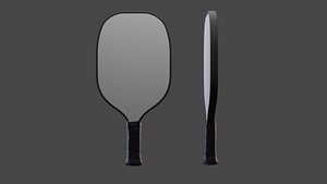 Generic Pickleball Paddle Realistic - Composite