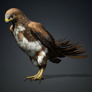 Kestrel-B3 model