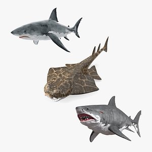 Rigged Sharks Collection 12 for Maya