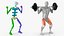Anatomy Male Muscular System Squats Animated Rigged 3D model