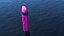 3D High-Visibility Diver Alert Float Pink model