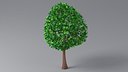 Cartoon Tree Small 04