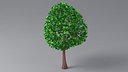 Cartoon Tree Small 04