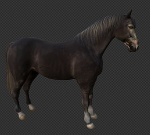 High-Quality Black Horse 3D Model 3D model