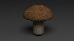 Mushrooms Collection 3D model
