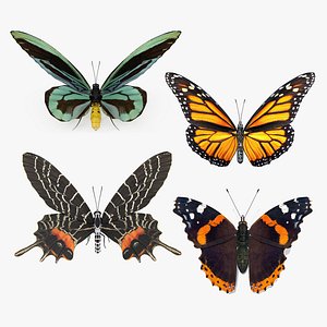 Rigged Butterflies Collection 3