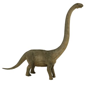 brontosaurus