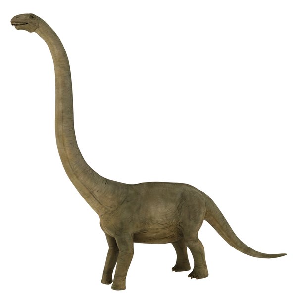 modelo 3d brontosaurio - TurboSquid 1222530