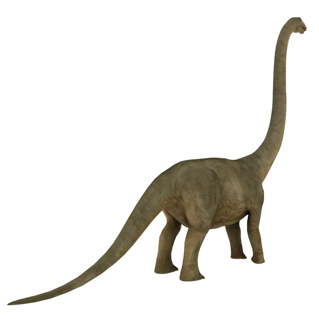 3d Model Brontosaurus - Turbosquid 1222530