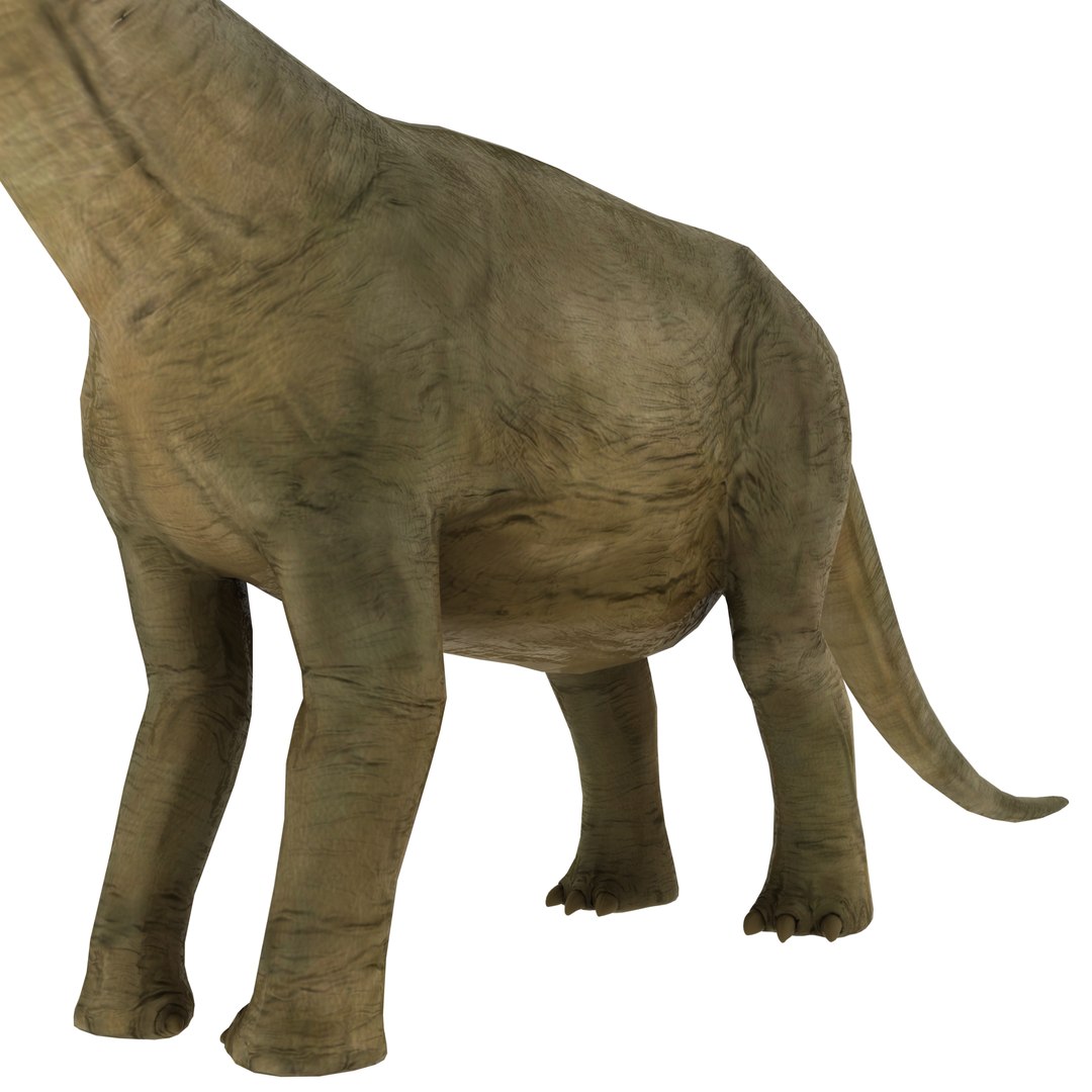 3D model brontosaurus - TurboSquid 1222530