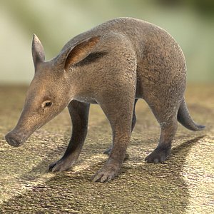 3d max aardvark base normal