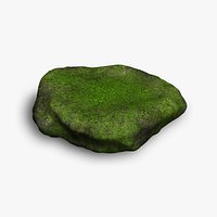 Rock 07 - Moss