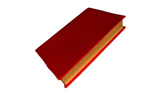 3D red scan real