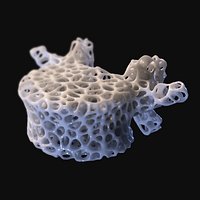 Spine L4 bone Voronoi micro structure