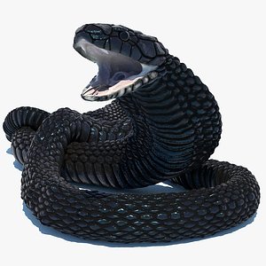 3D model rigged egyptian cobra snake