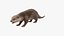 Aquatic Otter Rigged Fur for Cinema 4D 3D model