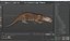 Aquatic Otter Rigged Fur for Cinema 4D 3D model