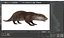 Aquatic Otter Rigged Fur for Cinema 4D 3D model