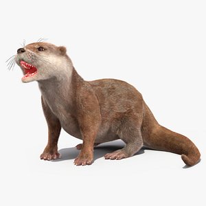 Aquatic Otter Rigged Fur for Cinema 4D 3D model