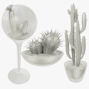 3D cactuses pots cactus