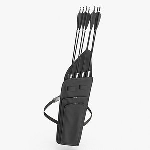 Quiver with Arrows