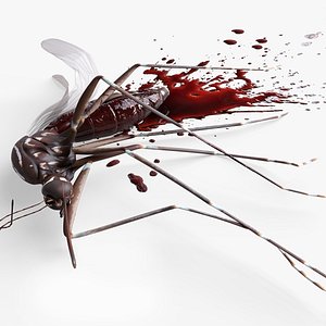 3D Smashed Mosquito Pest Blood For Blender