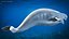 Beluga Whale Adult Rigged for Cinema 4D model